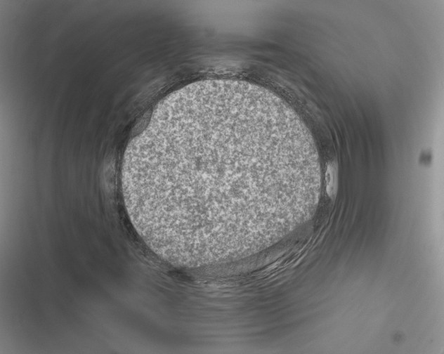 X0000116451395201001191543