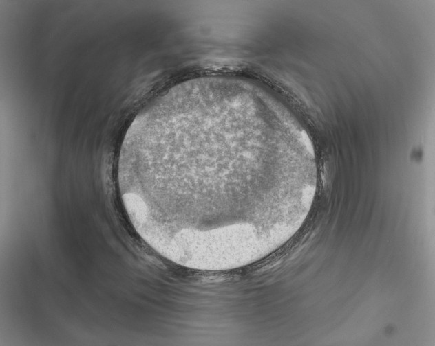 X0000116451396201001191543