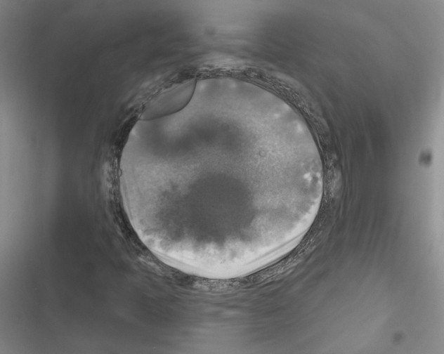 X0000116451397201001191543