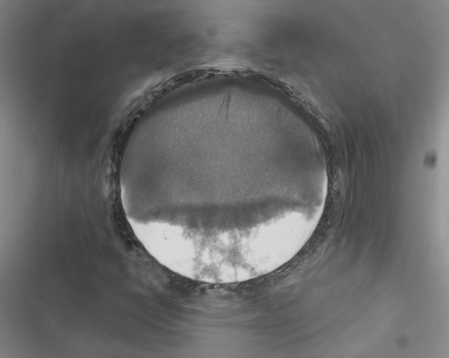 X0000116451398201001191543