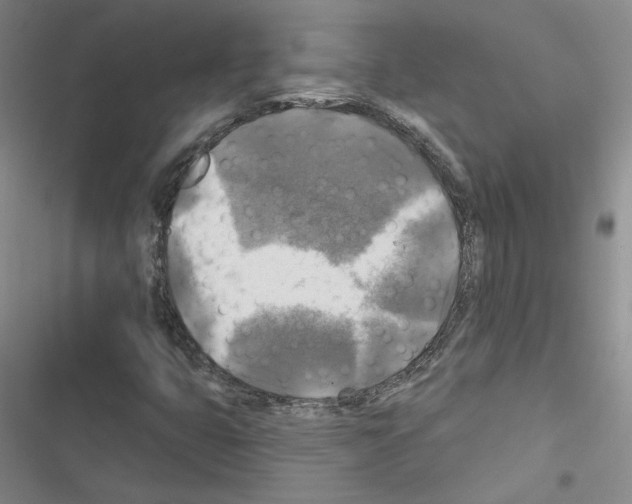 X0000116451399201001191543