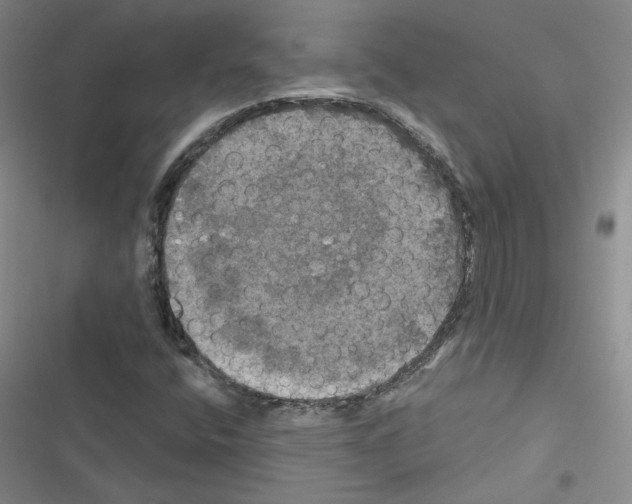 X0000116451400201001191543