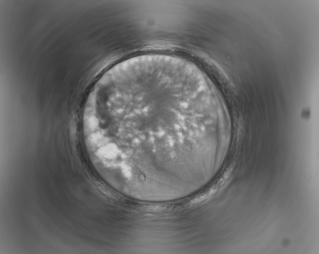 X0000116451401201001191543