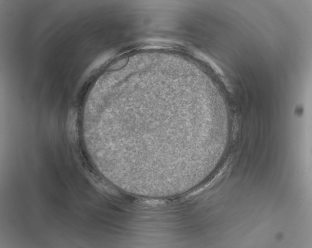 X0000116451403201001191543