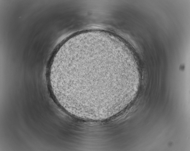 X0000116451404201001191543
