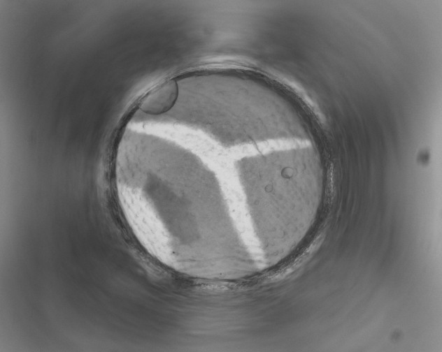 X0000116451405201001191543
