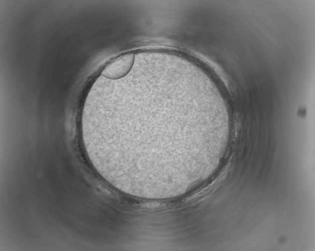 X0000116451407201001191543