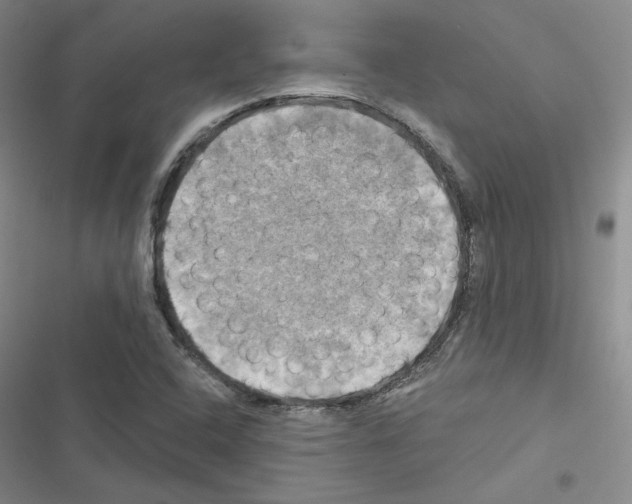 X0000116451408201001191543
