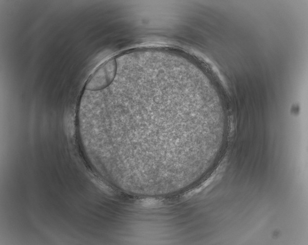 X0000116451409201001191543