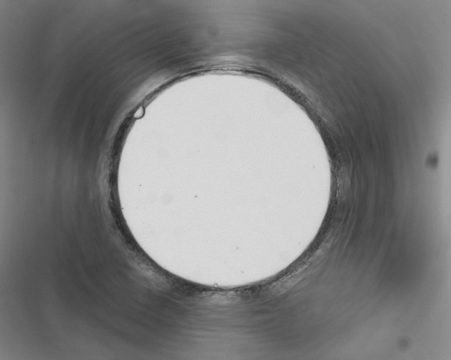 X0000116451410201001191543