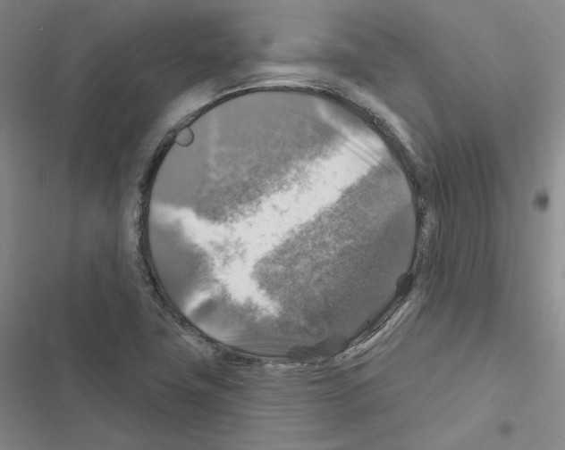 X0000116451411201001191543