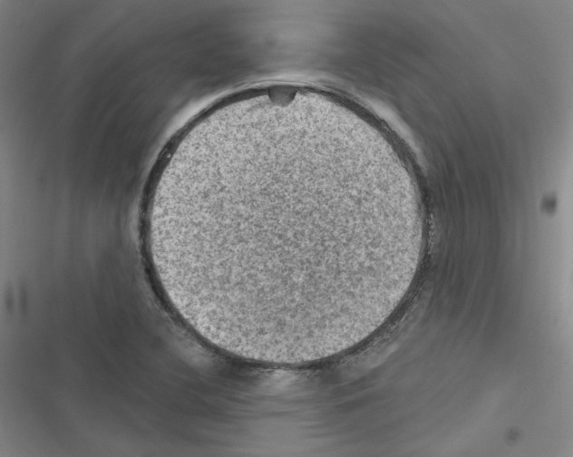 X0000116451412201001191543