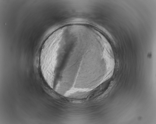 X0000116451413201001191543