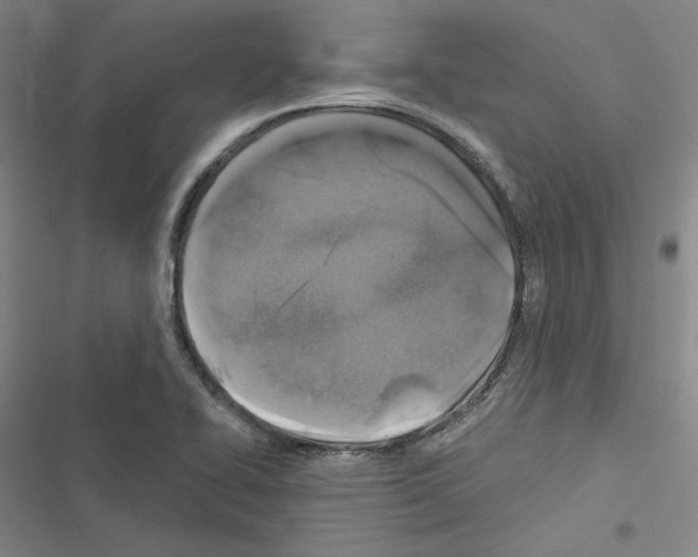 X0000116451414201001191543