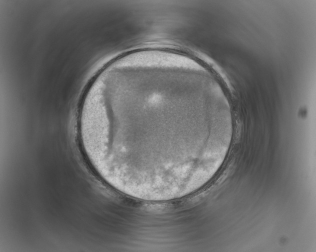 X0000116451415201001191543