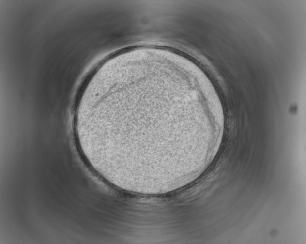 X0000116451416201001191543