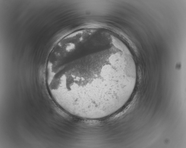 X0000116451417201001191543