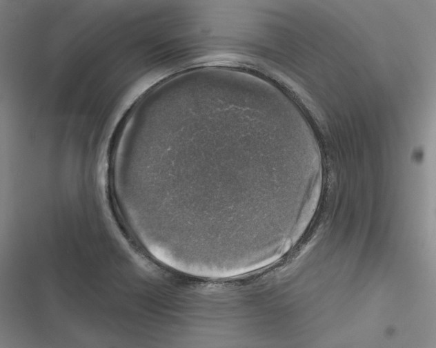 X0000116451418201001191543