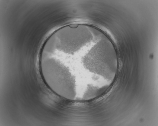 X0000116451419201001191543