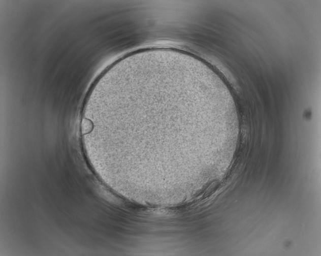 X0000116451420201001191543