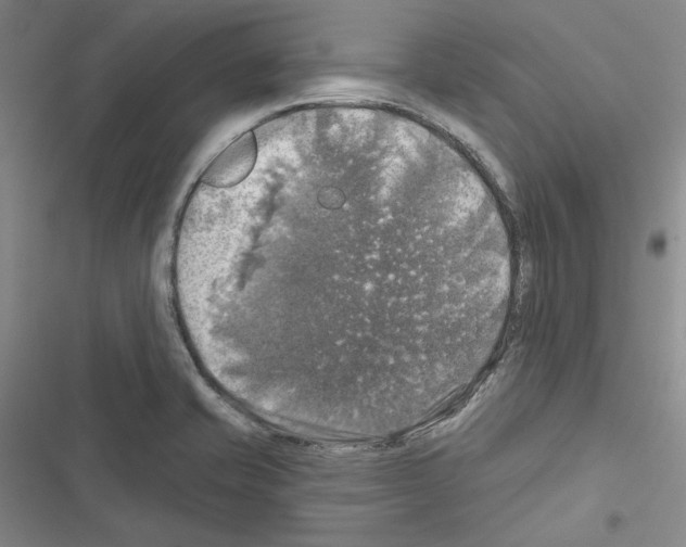 X0000116451421201001191543