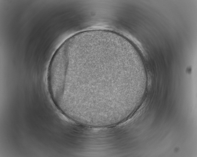 X0000116451423201001191543