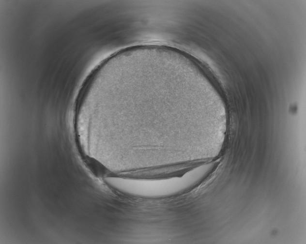 X0000116451424201001191543