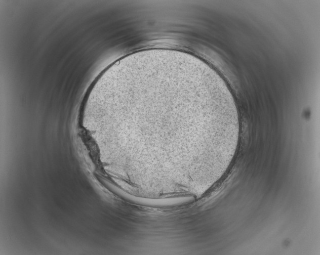 X0000116451426201001191543