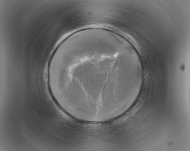 X0000116451428201001191543