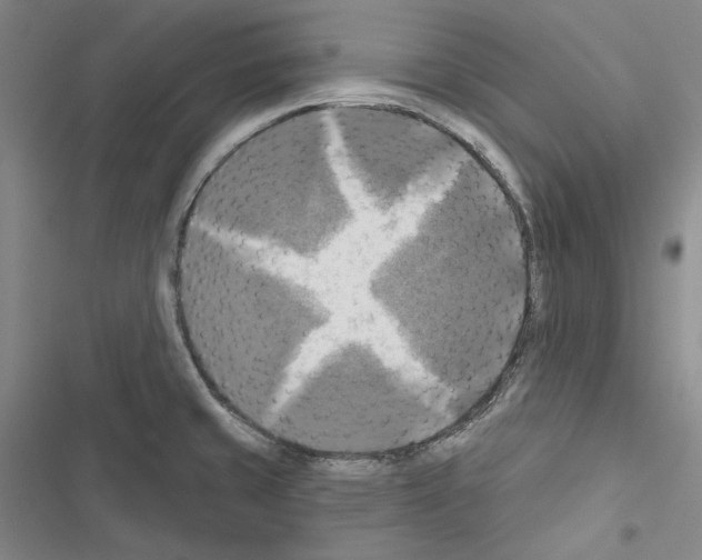X0000116451429201001191543