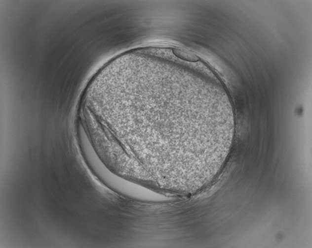 X0000116451430201001191543