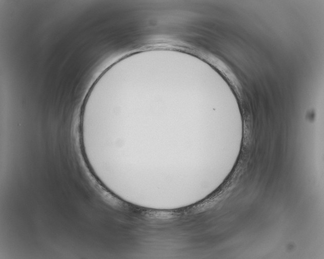 X0000116451431201001191543