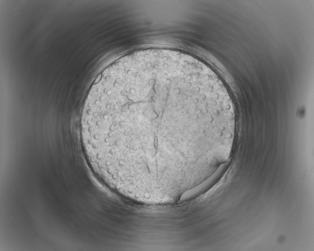 X0000116451433201001191543