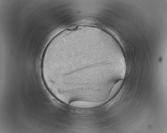 X0000116451434201001191543