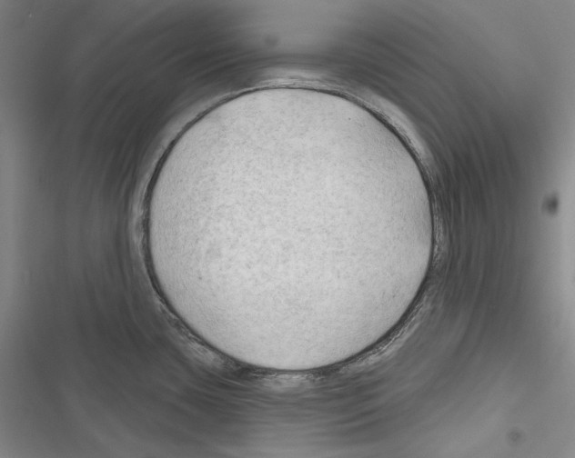 X0000116451435201001191543