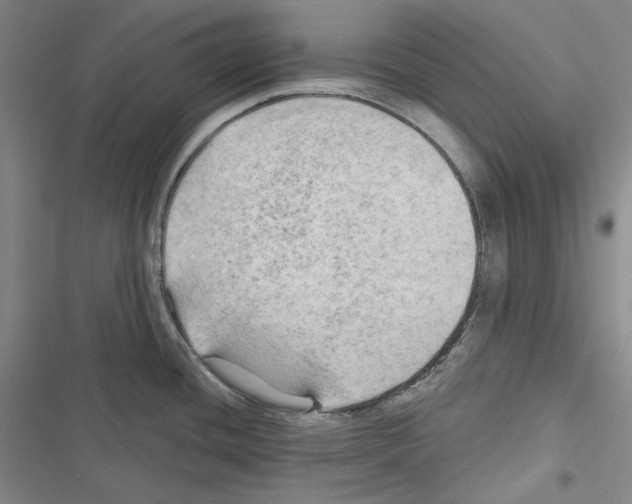 X0000116451436201001191543