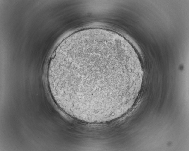 X0000116451437201001191543