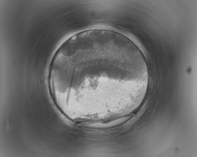X0000116451438201001191543