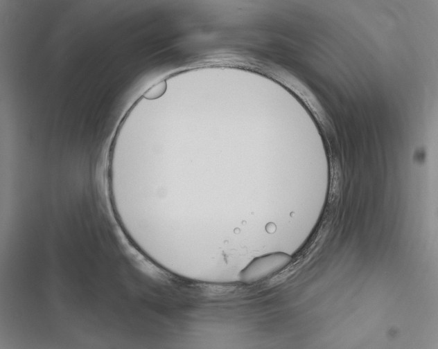 X0000116451439201001191543