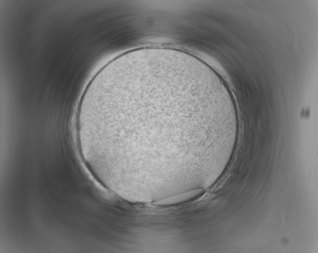 X0000116451440201001191543