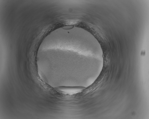 X0000116451441201001191543