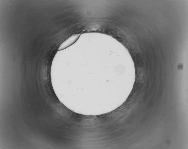 X0000116451442201001191543