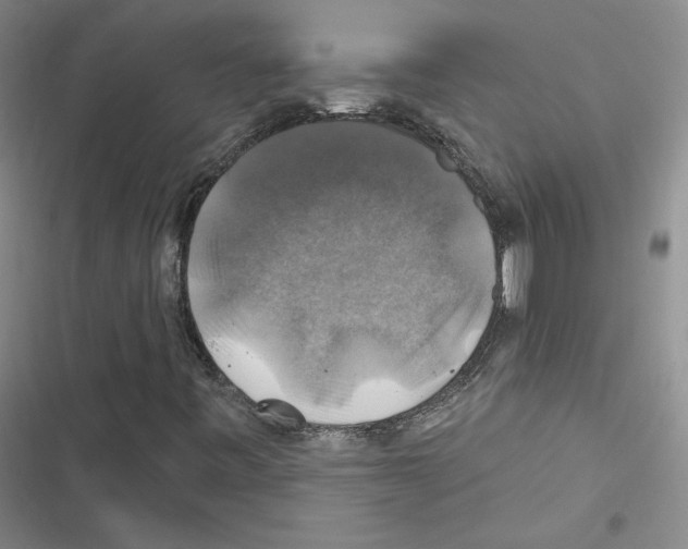 X0000116451443201001191543