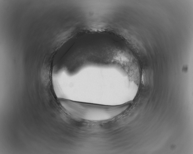 X0000116451444201001191543
