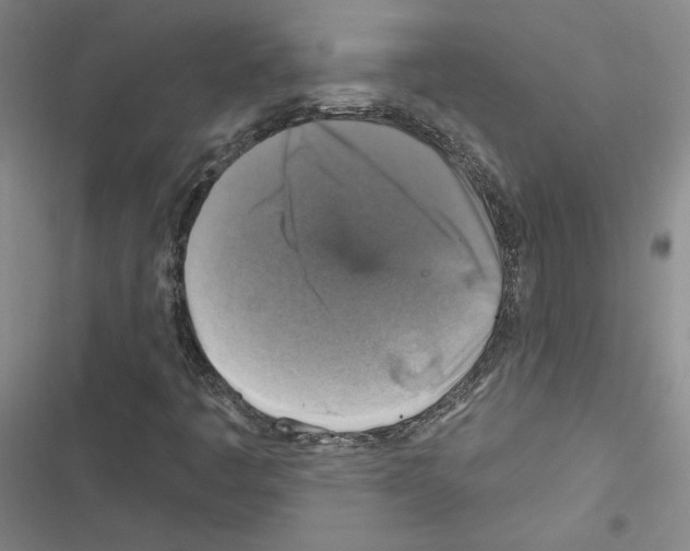 X0000116451445201001191543
