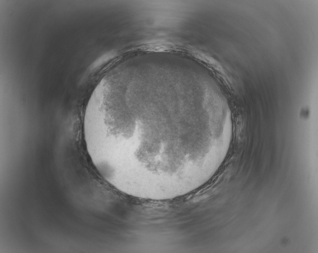 X0000116451446201001191543
