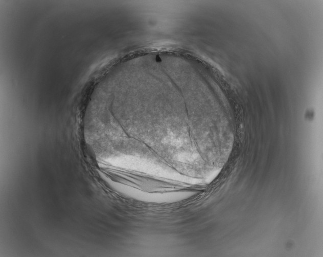 X0000116451447201001191543