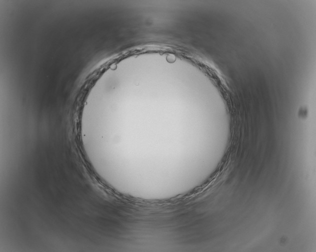 X0000116451448201001191543