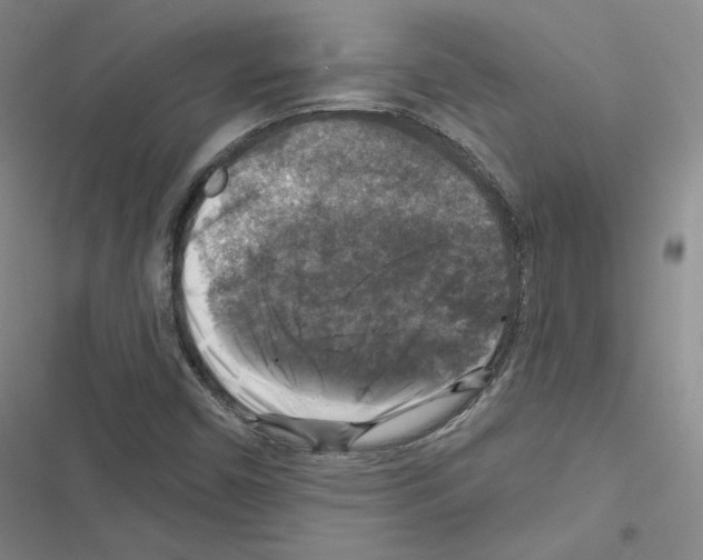 X0000116451450201001191543