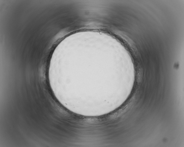 X0000116451451201001191543